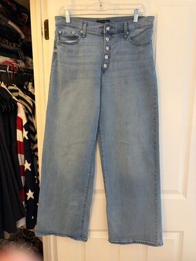 Banana Republic Factory Light Blue High-Rise Wide Leg Button Fly Jeans